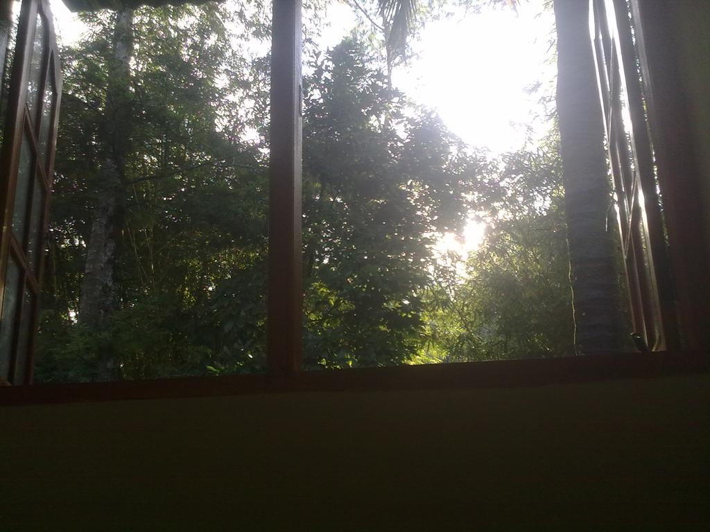 Ask Homestay Ella Szoba fotó
